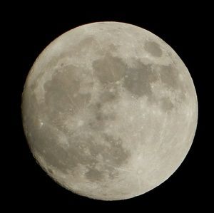 Meet your Posher, Connor